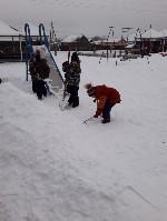 �����������